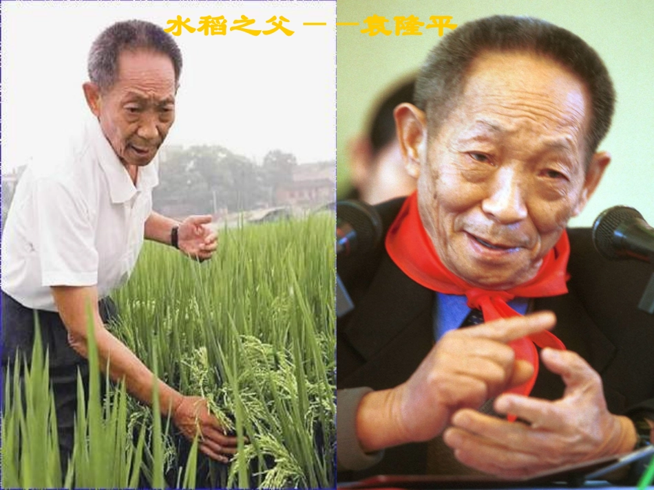 《农业的变化真大》课件_第1页