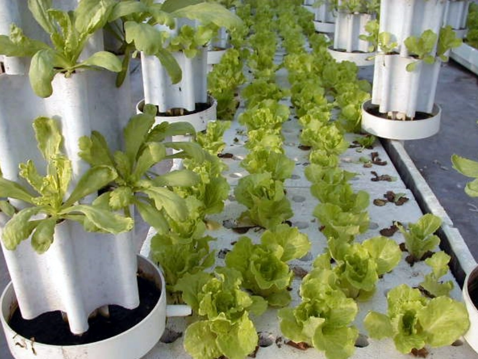 《农业的变化真大》课件_第2页