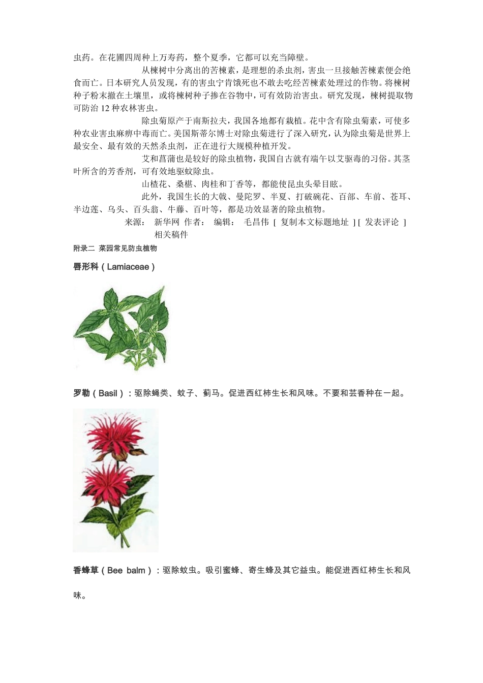 驱蚊杀虫植物有哪些_第2页