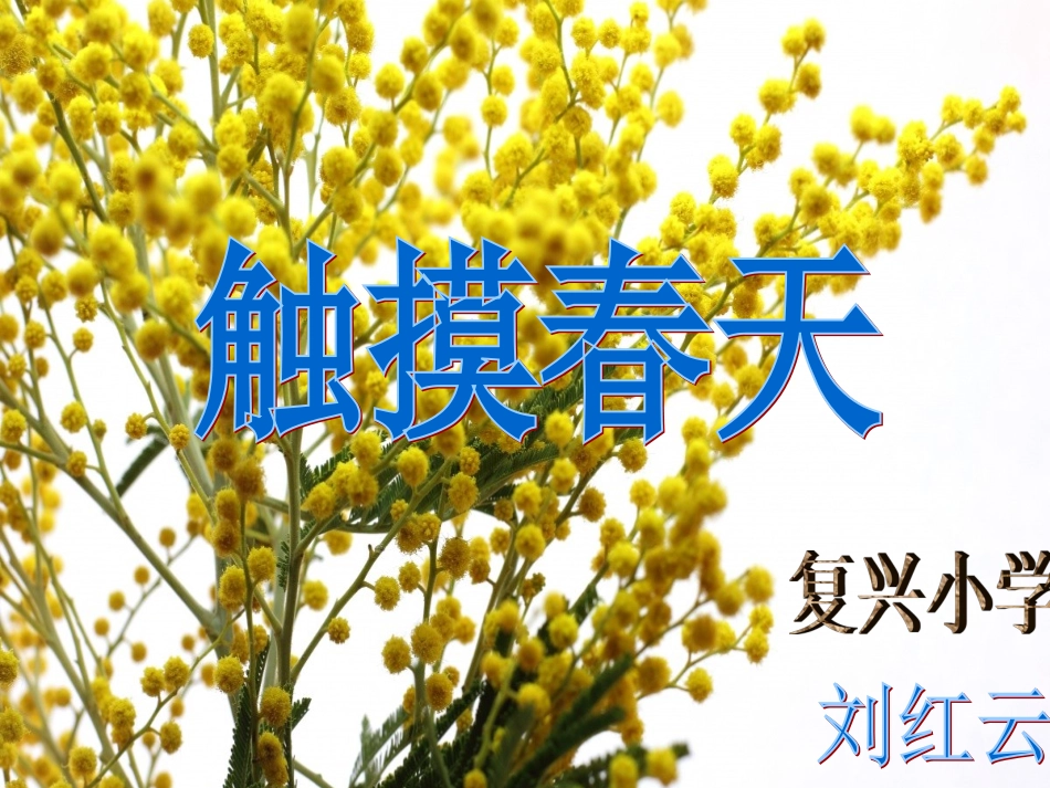 演示文稿1 (2)_第1页