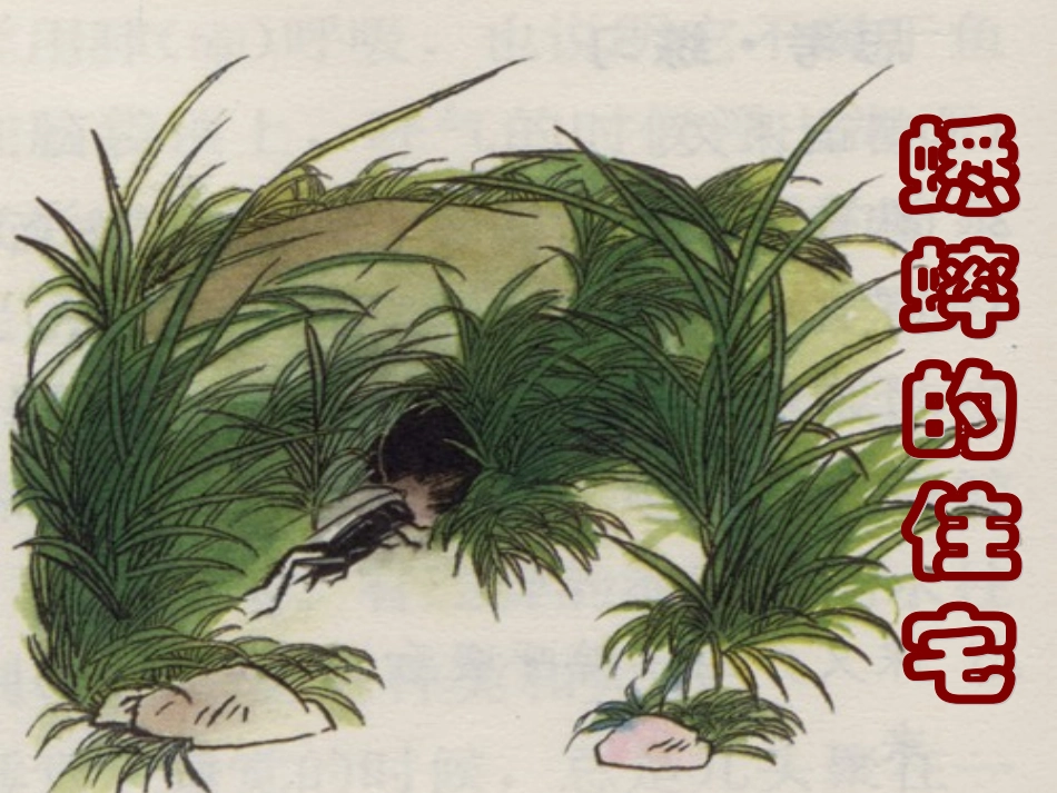 、《蟋蟀的住宅》课件_第1页