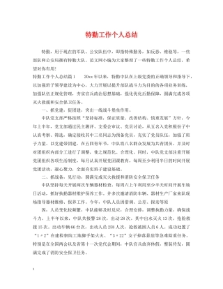 特勤工作个人总结 