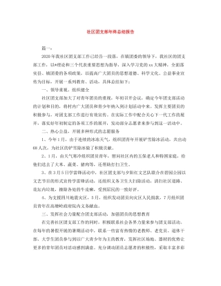 社区团支部年终总结报告