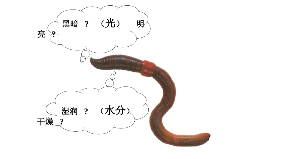 五上1-4《蚯蚓的选择》_第2页