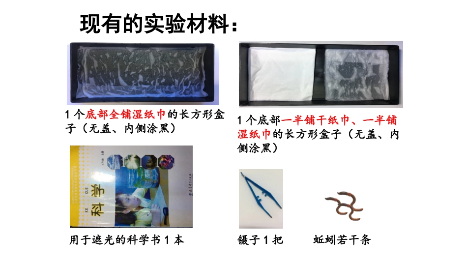 五上1-4《蚯蚓的选择》_第3页