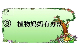 （课堂教学课件1）植物妈妈有办法