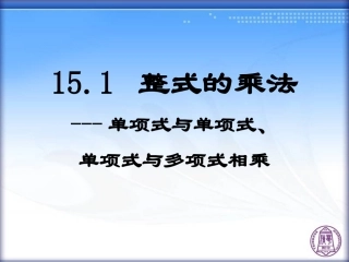 整式的乘法（）