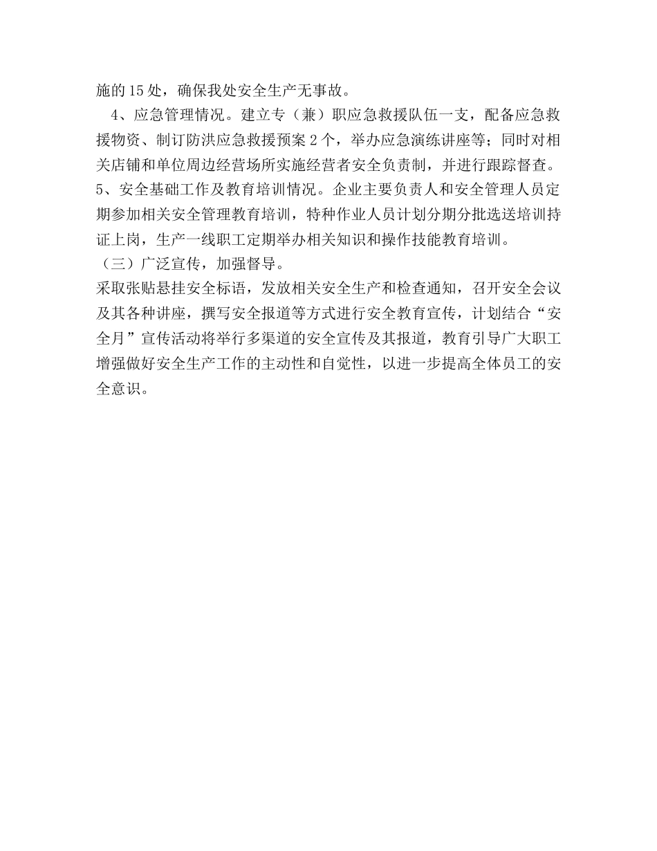 水电站安全生产大检查工作总结 _第2页