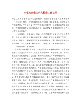 水电站安全生产大检查工作总结 