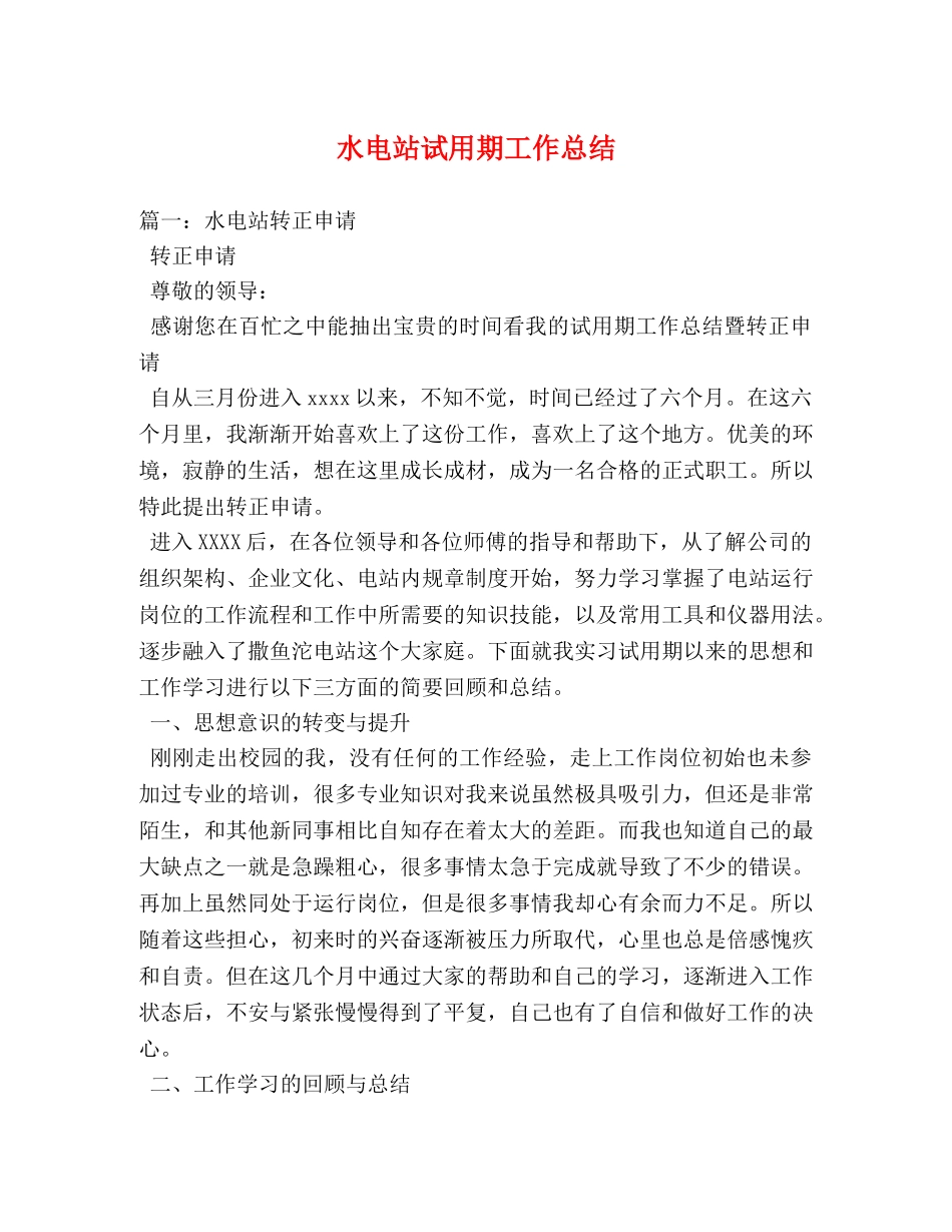 水电站试用期工作总结 _第1页