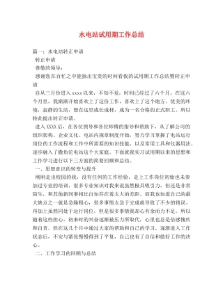 水电站试用期工作总结 
