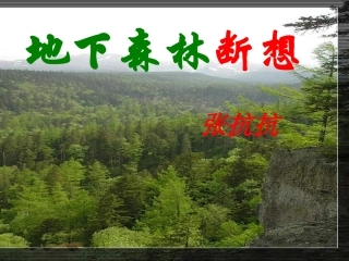 地下森林断想
