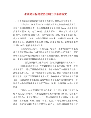 水利局目标岗位责任制工作总结范文 