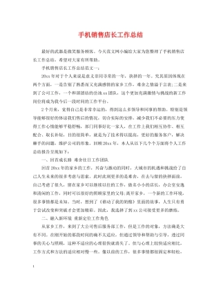 手机销售店长工作总结