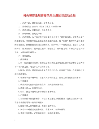 树先锋形象展青春风采主题团日活动总结 