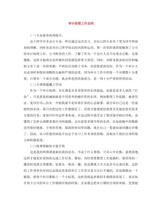 审计助理工作总结