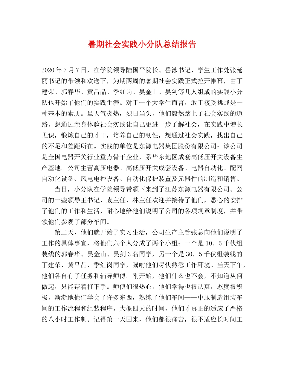暑期社会实践小分队总结报告 _第1页