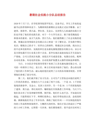 暑期社会实践小分队总结报告 