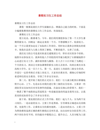暑期实习生工作总结 
