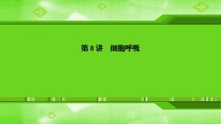 第8讲细胞呼吸