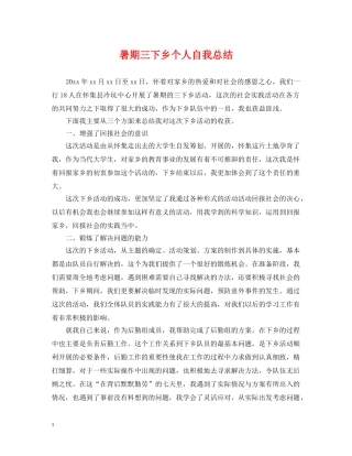 暑期三下乡个人自我总结 