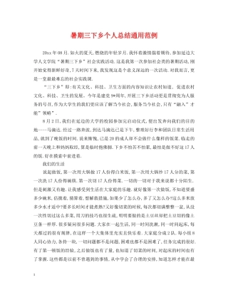 暑期三下乡个人总结通用范例 