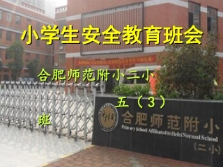 五三班班会安全教育班主任工作