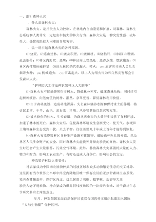 森林防火知识与黑板报