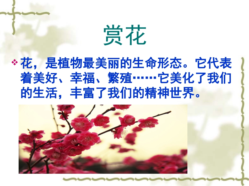 扮靓生活的花卉纹样课件_第2页