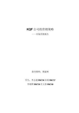 公司的营销策略市场营销报告