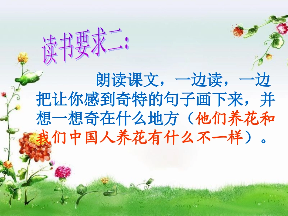 自己的花是给别人看的+课件_第3页