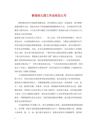新进幼儿园工作总结怎么写