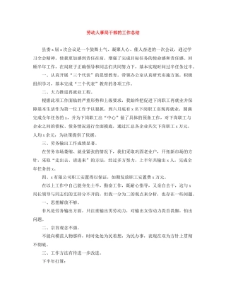 劳动人事局干部的工作总结