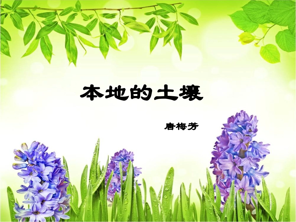 《本地的土壤》课件_第1页