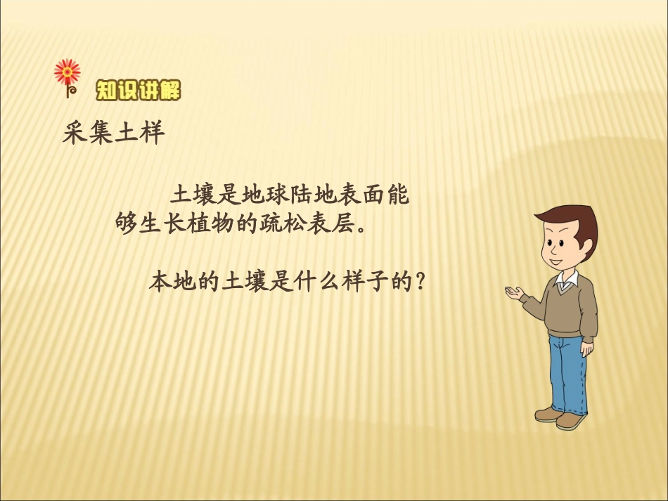 《本地的土壤》课件_第3页