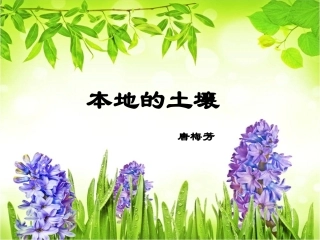 《本地的土壤》课件
