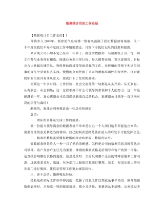 数据统计员的工作总结 