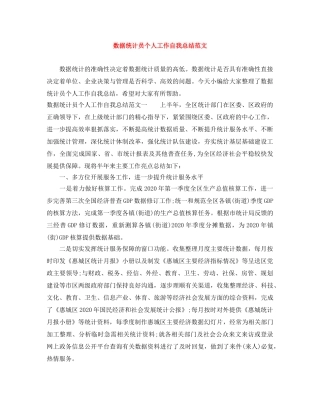 数据统计员个人工作自我总结范文 