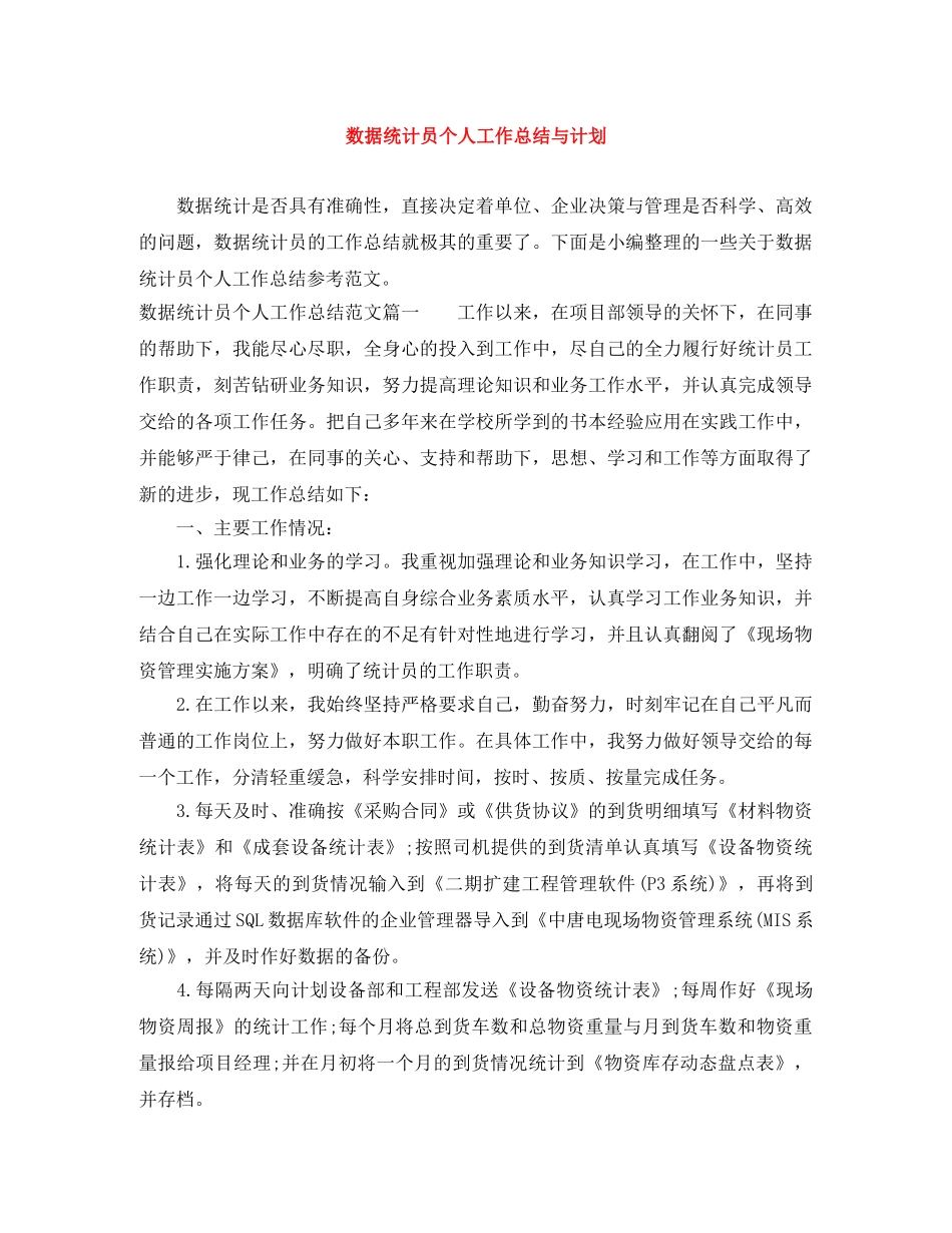 数据统计员个人工作总结与计划 _第1页