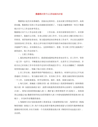 数据统计员个人工作总结与计划 