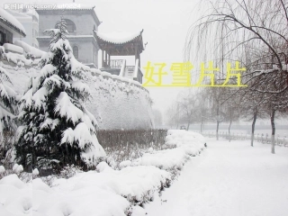 林清玄《好雪片片》