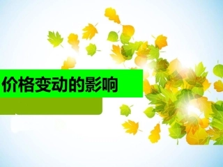 价格变动的影响 (2)