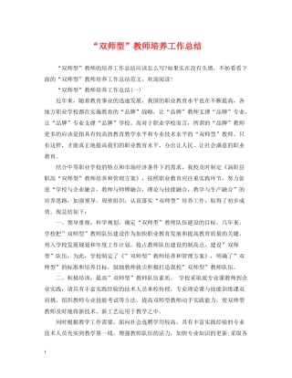 双师型教师培养工作总结