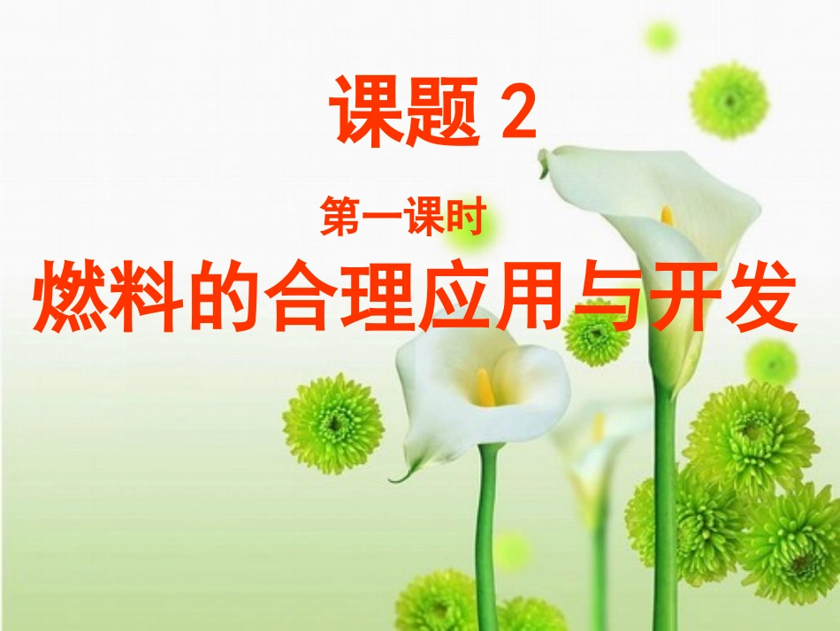 燃料的合理利用与开发_第1页