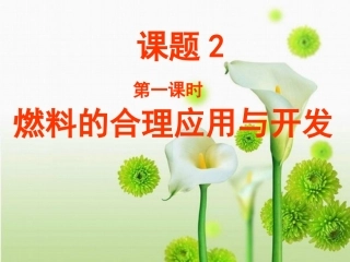 燃料的合理利用与开发