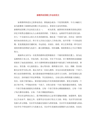 新教师试用期工作总结范文
