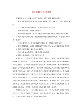 2020年村官11月工作总结