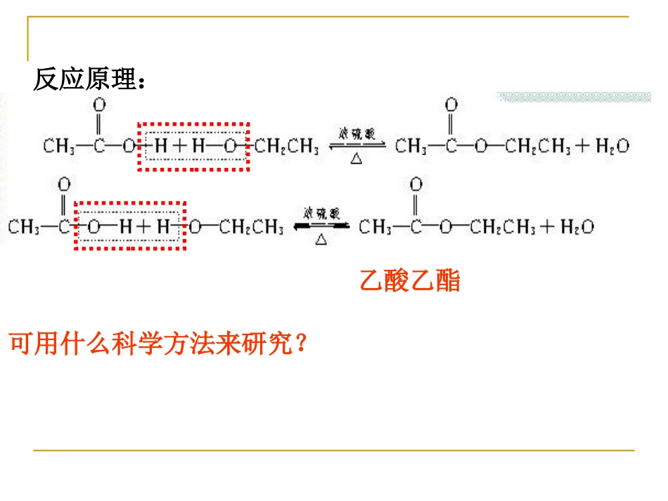 方案2：乙酸_第3页