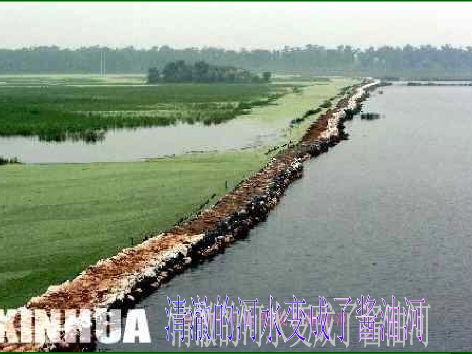 小学班会保护生态环境_第2页