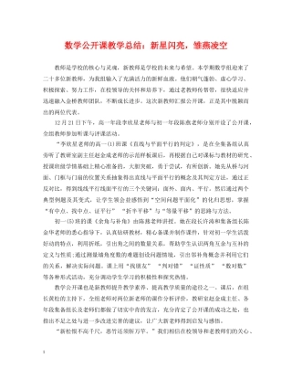 数学公开课教学总结新星闪亮，雏燕凌空 